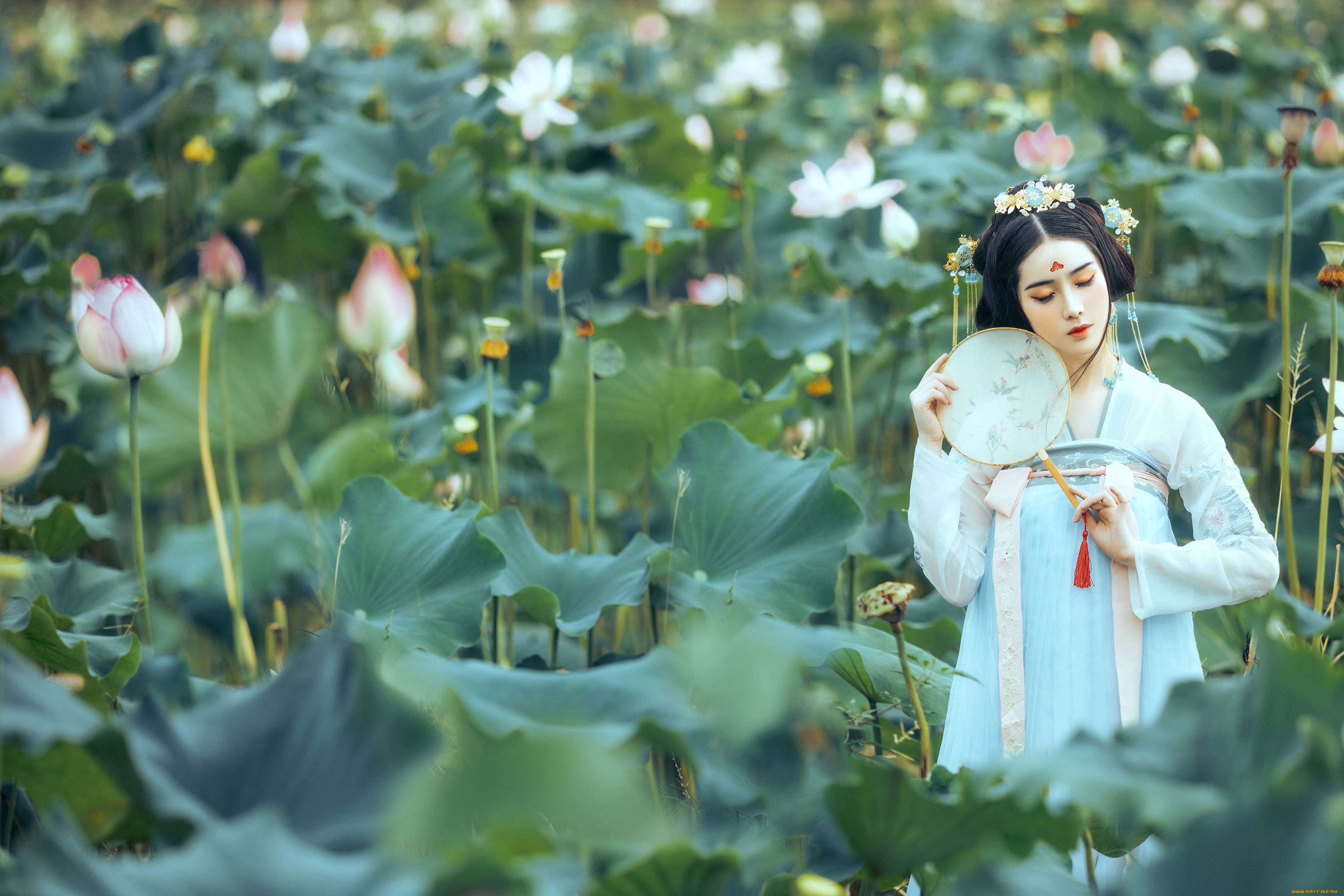 �������, - �������, �������